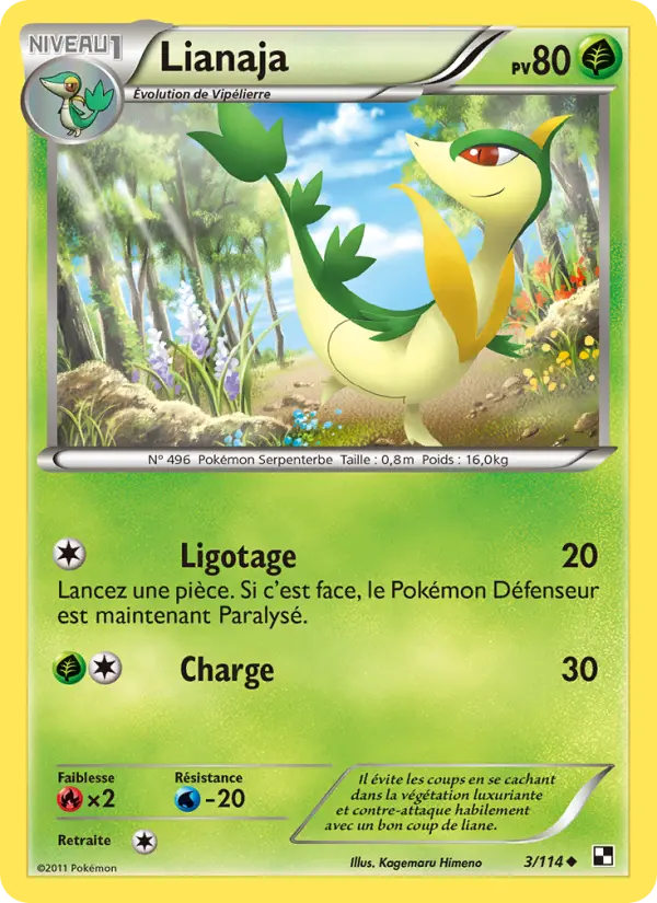 Scan HD carte Pokémon Lianaja 3/114 — Noir & Blanc