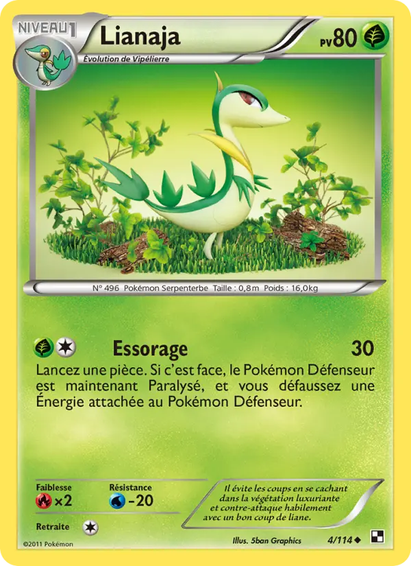 Scan HD carte Pokémon Lianaja 4/114 — Noir & Blanc
