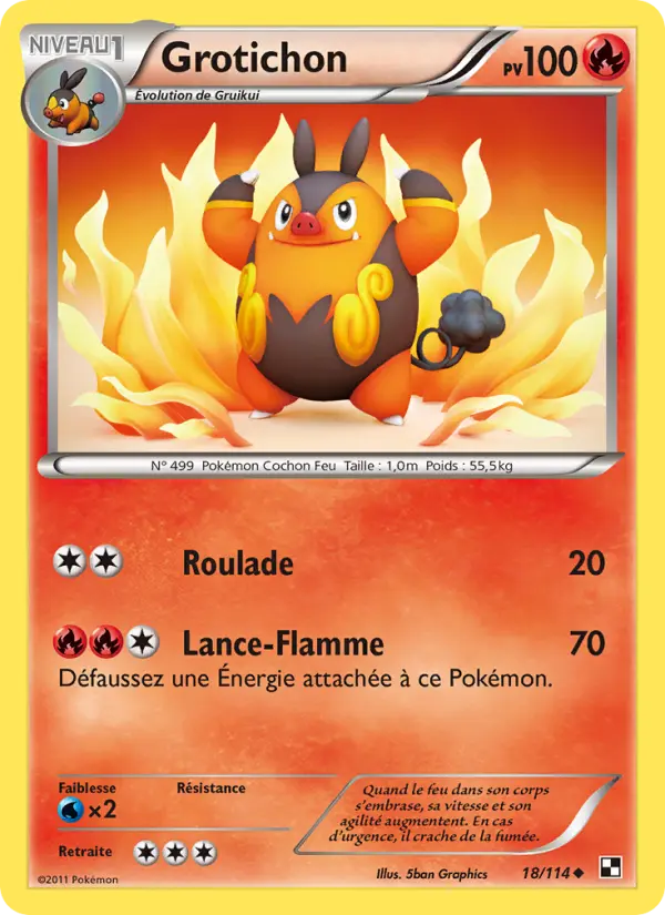 Scan HD carte Pokémon Grotichon 18/114 — Noir & Blanc