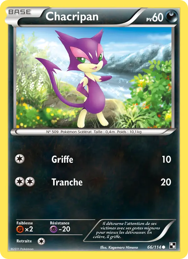 Scan HD carte Pokémon Chacripan 66/114 — Noir & Blanc