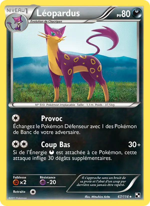 Scan HD carte Pokémon Léopardus 67/114 — Noir & Blanc