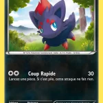 Zorua 70 — Noir & Blanc