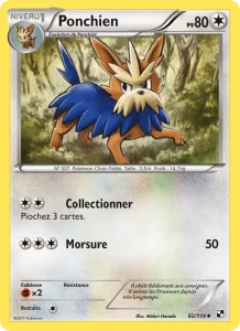 Ponchien 82 — Noir & Blanc