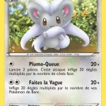 Pashmilla 89 — Noir & Blanc