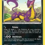 Léopardus 65 — Pouvoirs Émergents