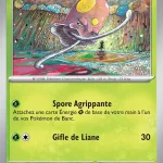 Terracool 015 — Faille Paradoxe