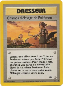 Carte Pokemon Champs d'élevage de Pokémon 62/64 Neo Revelation