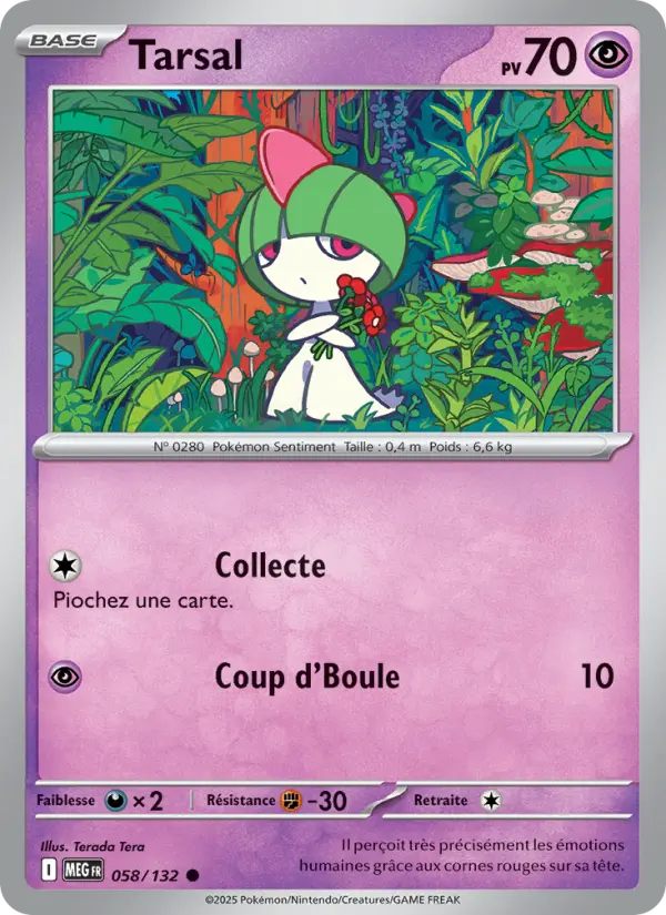 Scan HD carte Pokémon Tarsal 058/132 — Méga-Évolution