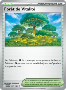 Forêt de Vitalité 117 — Méga-Évolution