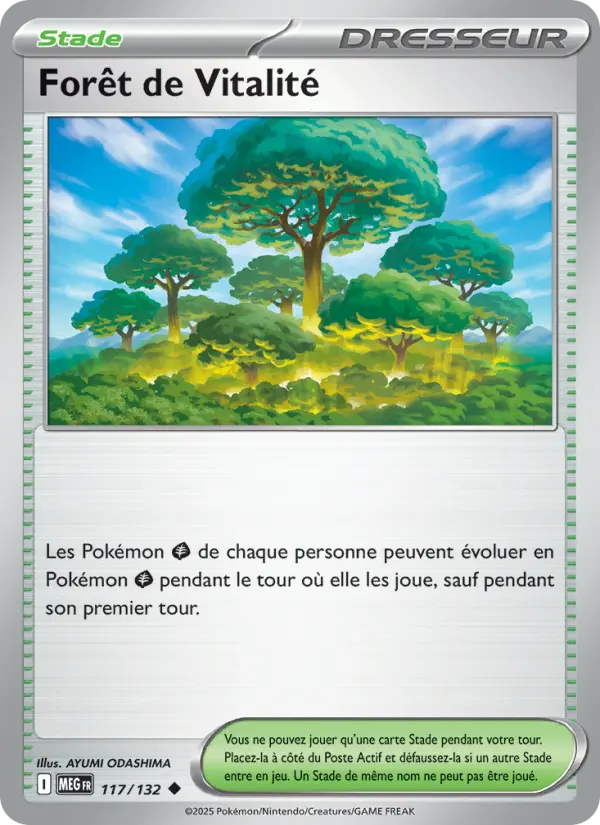 Scan HD carte Pokémon Forêt de Vitalité 117/132 — Méga-Évolution
