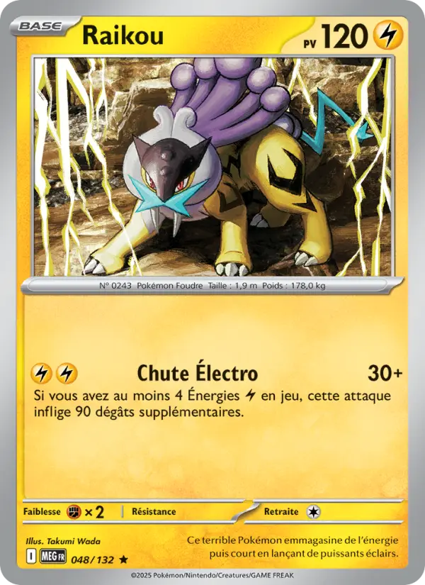 Scan HD carte Pokémon Raikou 048/132 — Méga-Évolution