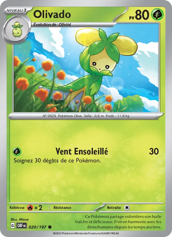 Scan HD carte Pokémon Olivado 020/197 — Flammes Obsidiennes