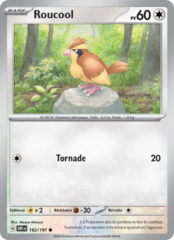 Scan HD carte Pokémon Roucool 162/197 — Flammes Obsidiennes