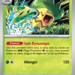 Ludicolo 007 — Flammes Fantasmagoriques