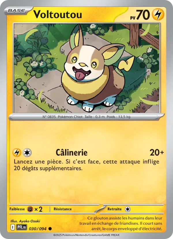 Scan HD carte Pokémon Voltoutou 030/94 — Flammes Fantasmagoriques