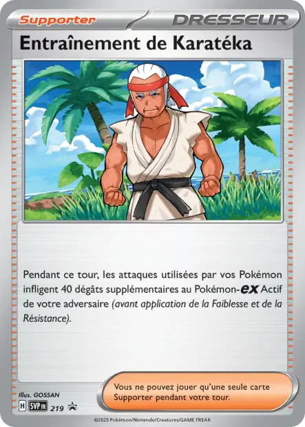Scan HD carte Pokémon Entraînement de Karatéka 219/225 — SVP Black Star Promos