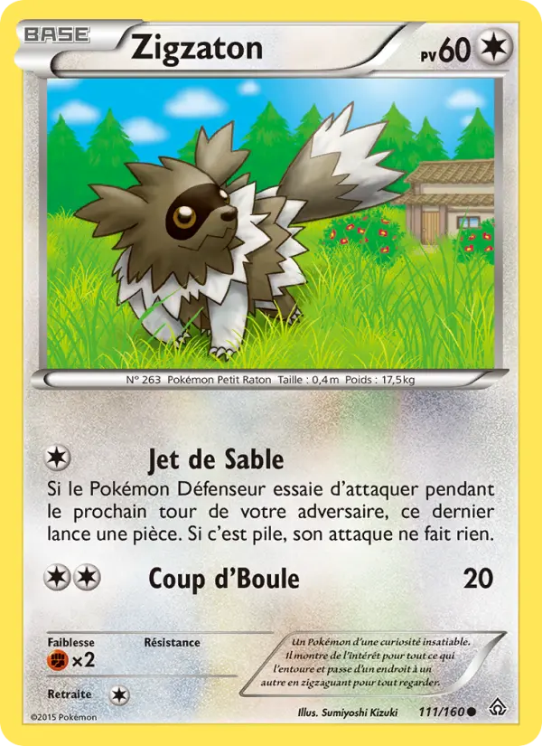 Scan HD carte Pokémon Zigzaton 111/160 — Primo-Choc