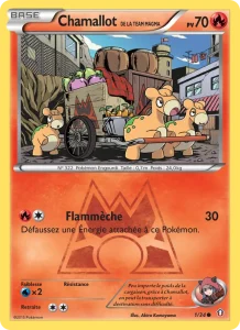 Carte Pokémon Chamallot de la Team Magma 1/34