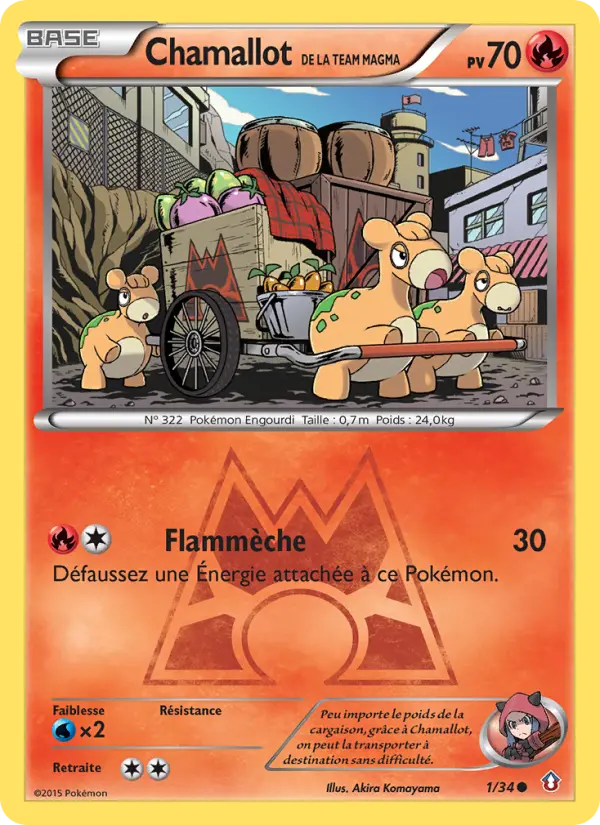 Scan HD carte Pokémon Chamallot de la Team Magma 1/34 — Double Danger