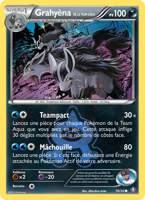 Scan HD carte Pokémon Grahyèna de la Team Aqua 18/34 — Double Danger