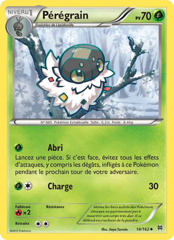 Scan HD carte Pokémon Pérégrain 14/162 — Impulsion Turbo