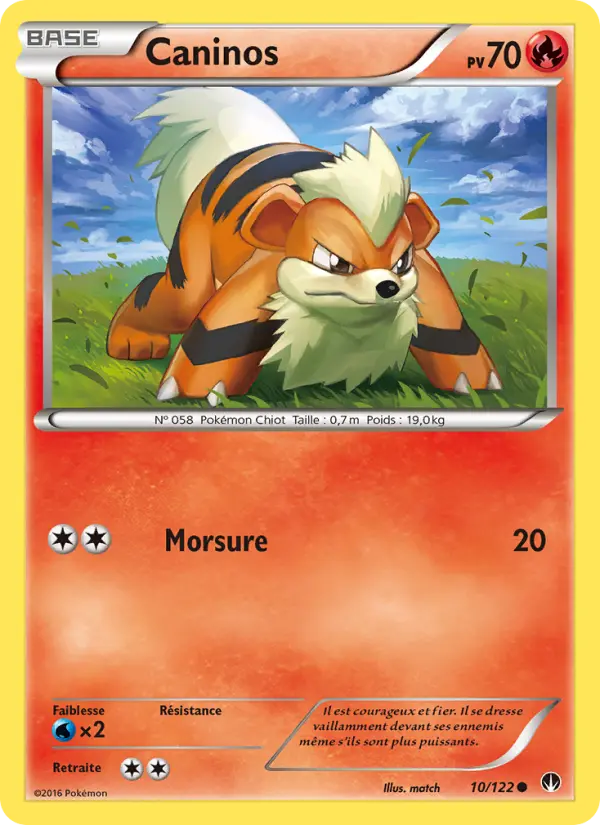 Scan HD carte Pokémon Caninos 10/122 — Rupture Turbo