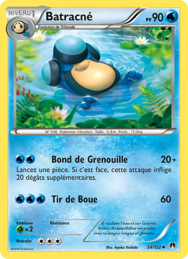 Scan HD carte Pokémon Batracné 34/122 — Rupture Turbo