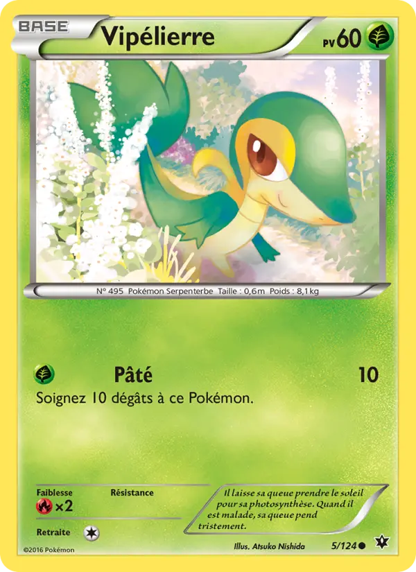 Scan HD carte Pokémon Vipélierre 5/124 — Impact des Destins