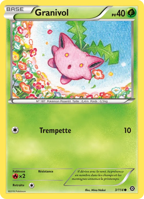 Scan HD carte Pokémon Granivol 3/114 — Offensive Vapeur