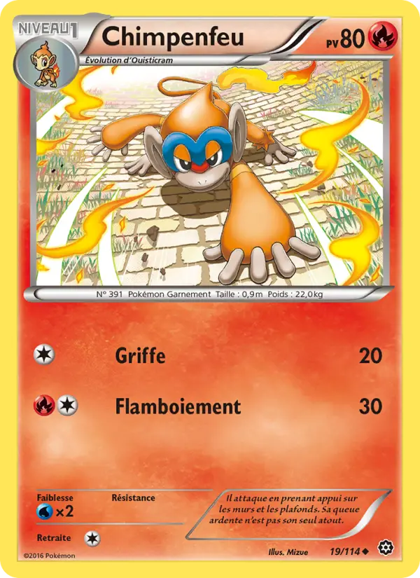 Scan HD carte Pokémon Chimpenfeu 19/114 — Offensive Vapeur