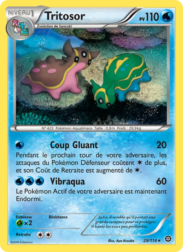 Scan HD carte Pokémon Tritosor 29/114 — Offensive Vapeur