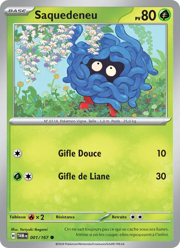 Scan HD carte Pokémon Saquedeneu 001/167 — Mascarade Crépusculaire