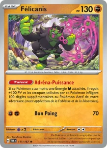 Félicanis 111 — Mascarade Crépusculaire