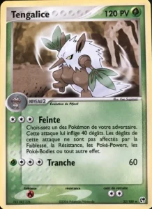 Tengalice 22 — EX Tempête de sable