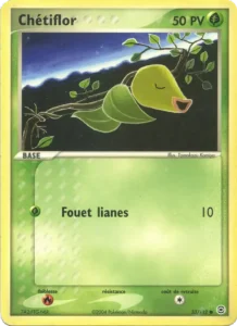 Chetiflor 53 — EX Rouge Feu & Vert Feuille