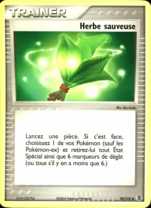 Herbe Sauveuse 93 — EX Rouge Feu & Vert Feuille