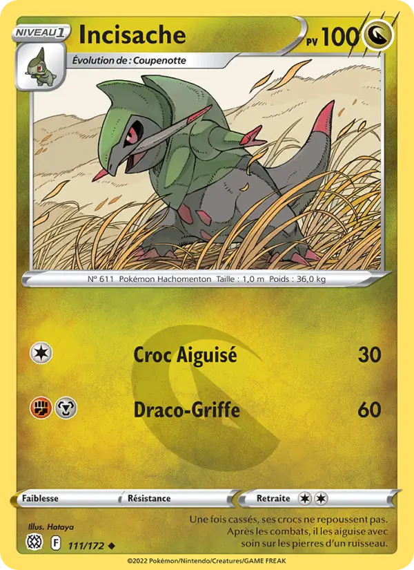Scan HD carte Pokémon Incisache 111/172 — Stars Étincelantes