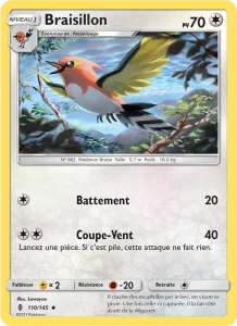 Braisillon 110 — Gardiens Ascendants
