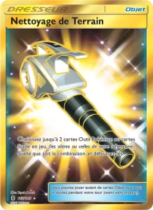 Carte Pokemon Nettoyage de Terrain 163/145 Gardiens Ascendants