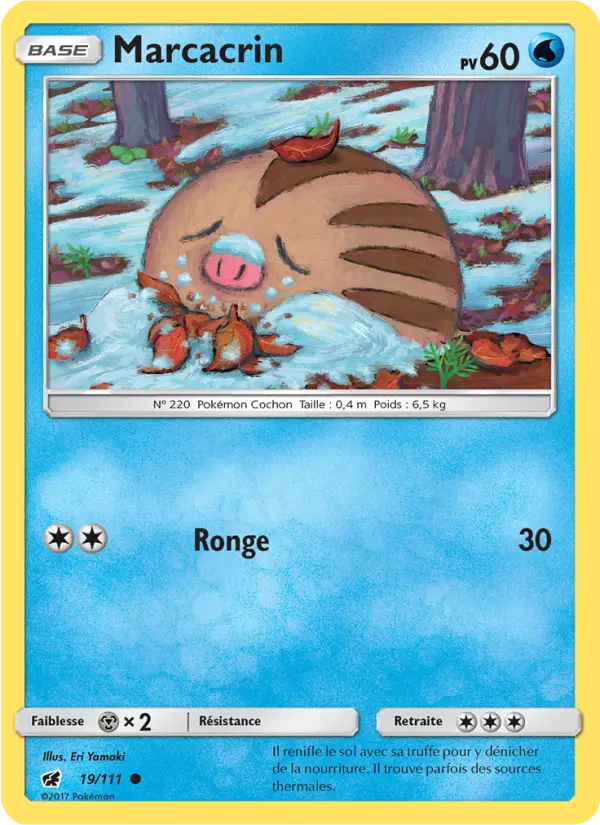 Scan HD carte Pokémon Marcacrin 19/111 — Invasion Carmin