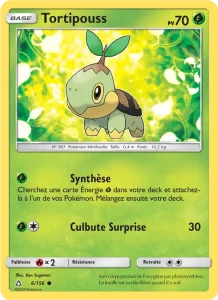 Carte Pokémon Tortipouss 6/156