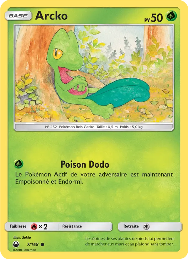 Scan HD carte Pokémon Arcko 7/168 — Tempête Céleste