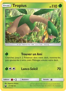 Tropius 21 — Tempête Céleste