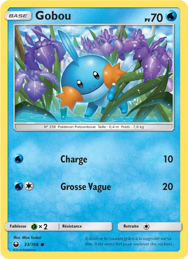 Scan HD carte Pokémon Gobou 33/168 — Tempête Céleste