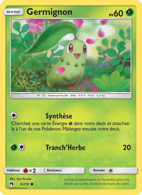 Scan HD carte Pokémon Germignon 5/214 — Tonnerre Perdu