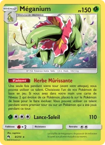 Meganium 8 — Tonnerre Perdu