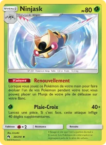 Ninjask 30 — Tonnerre Perdu
