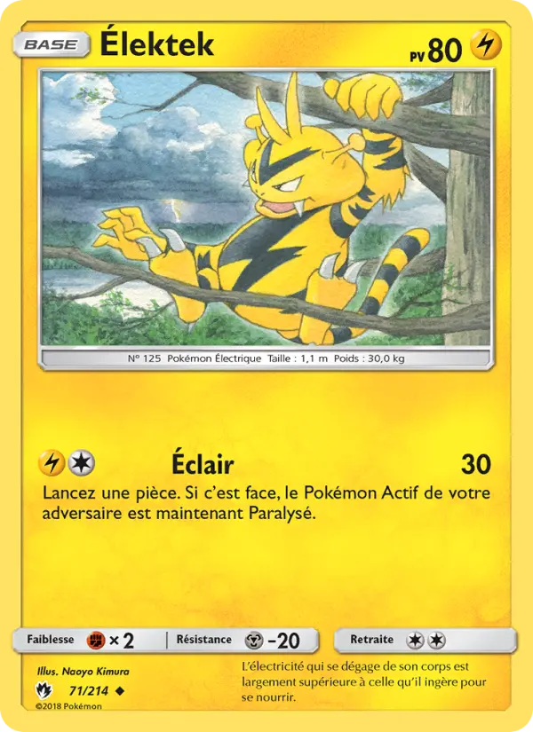 Scan HD carte Pokémon Élektek 71/214 — Tonnerre Perdu