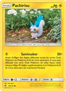 Pachirisu 80 — Tonnerre Perdu