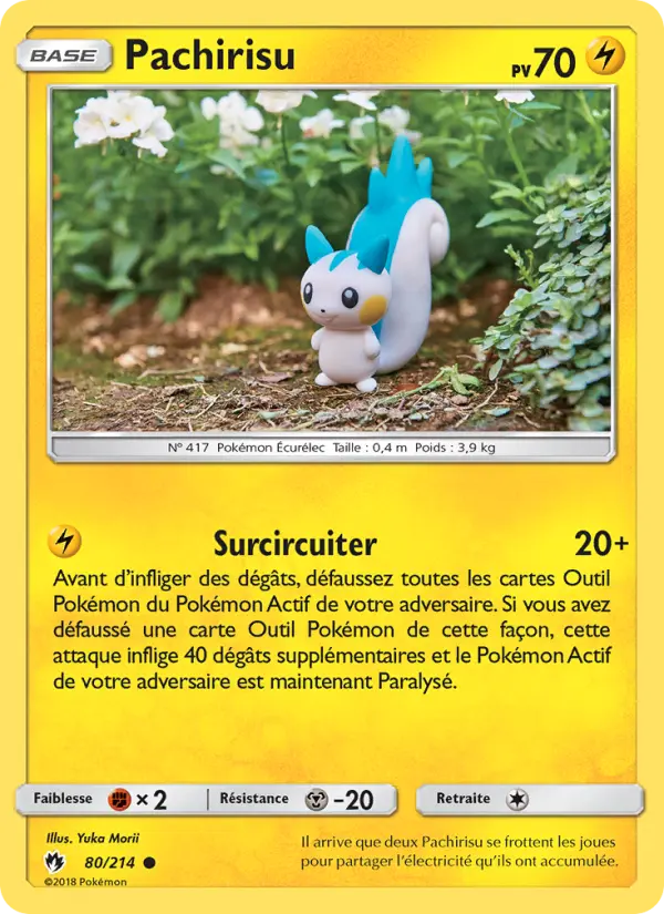Scan HD carte Pokémon Pachirisu 80/214 — Tonnerre Perdu